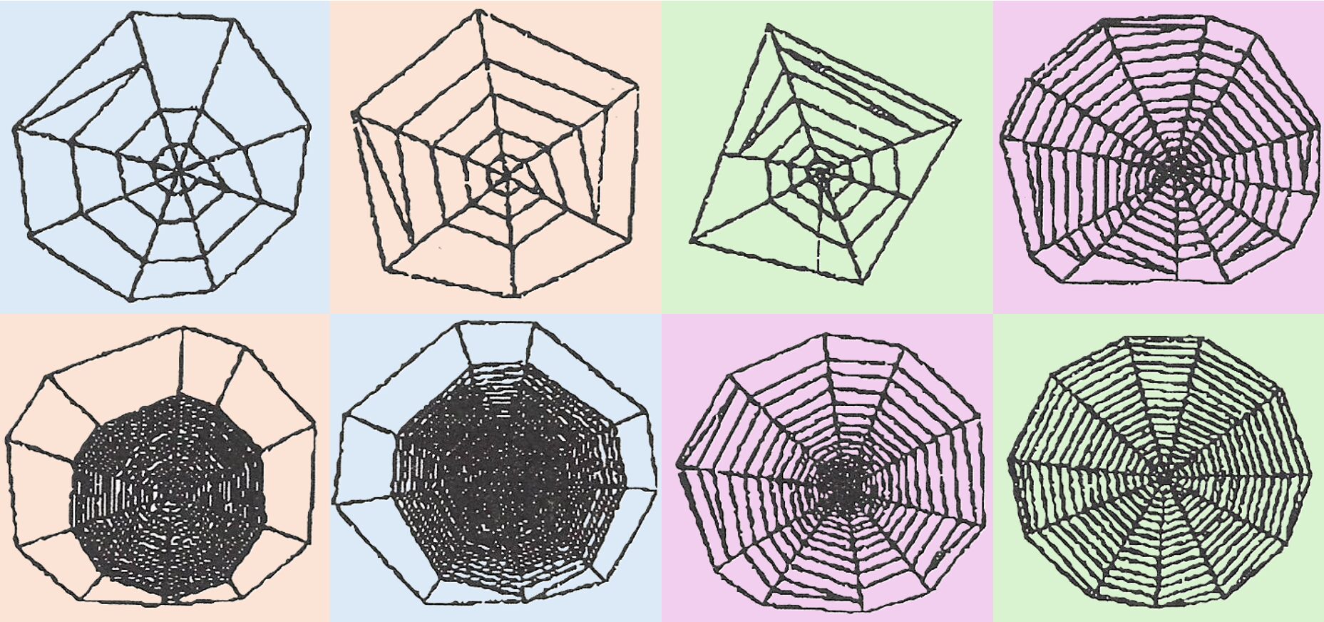 Using data to visualize evolutionary forces